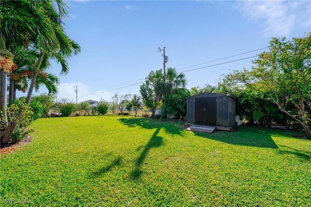 view of yard featuring a storage unit