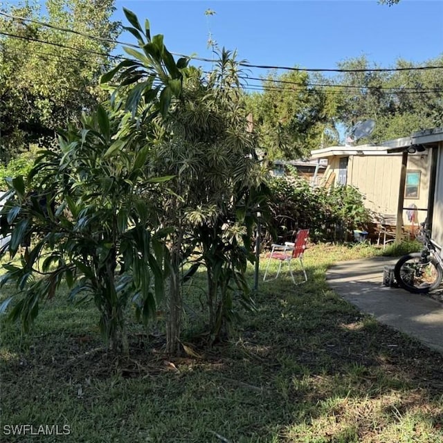 648 Carolina Ave, Fort Myers, FL 33905 - view of yard