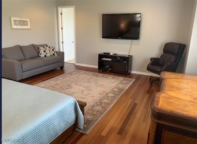 living room featuring hardwood / wood-style floors