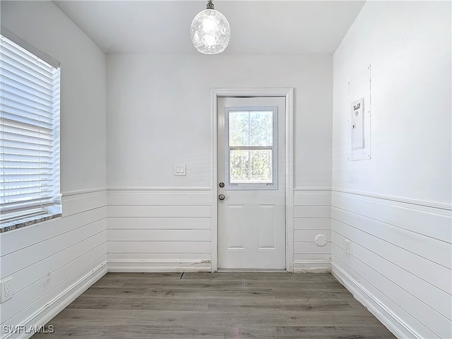 entryway with dark hardwood / wood-style flooring and wooden walls