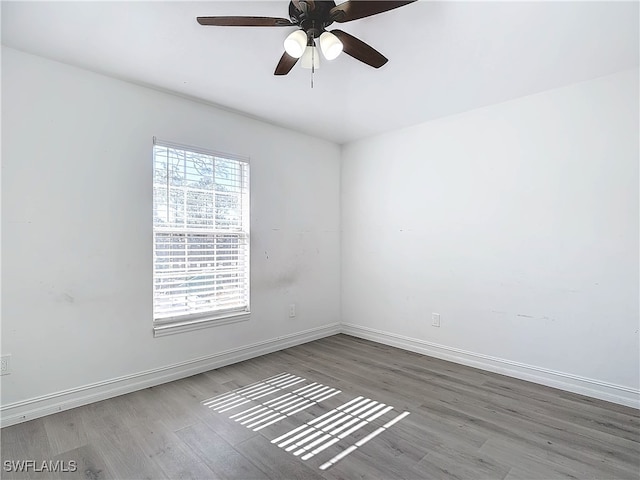 empty room featuring ceiling fan and wood-type flooring