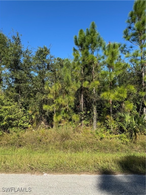 2501 E 9th St, Lehigh Acres FL, 33936 land for sale