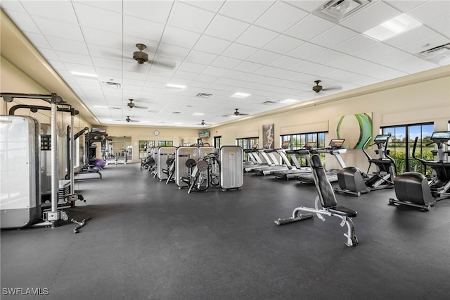 workout area featuring a drop ceiling, ceiling fan, and a healthy amount of sunlight