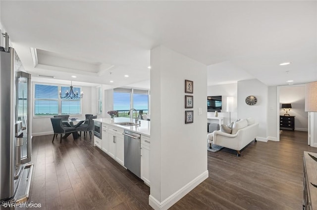 kitchen featuring white cabinetry, sink, a raised ceiling, dark hardwood / wood-style flooring, and appliances with stainless steel finishes