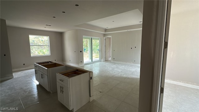 kitchen featuring white cabinets