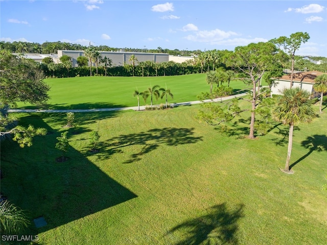 view of home's community featuring a yard