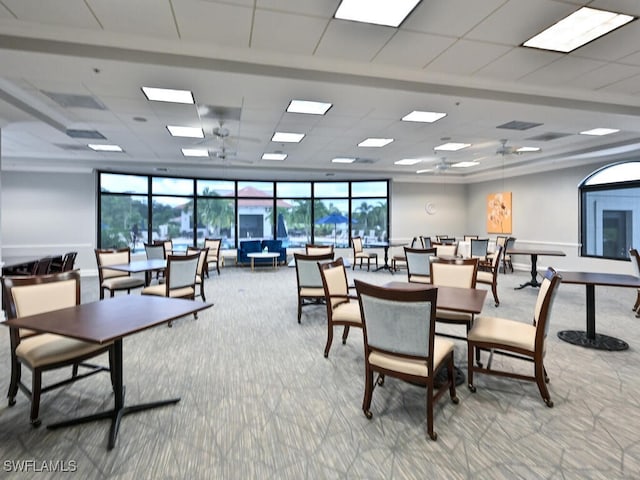 carpeted dining space with ceiling fan, a wealth of natural light, and a paneled ceiling