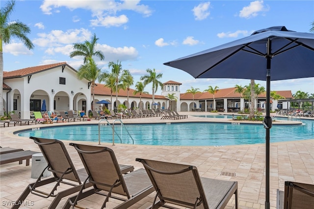 view of swimming pool with a patio