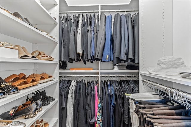 view of spacious closet