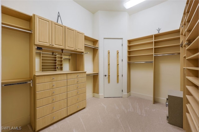 spacious closet with light colored carpet