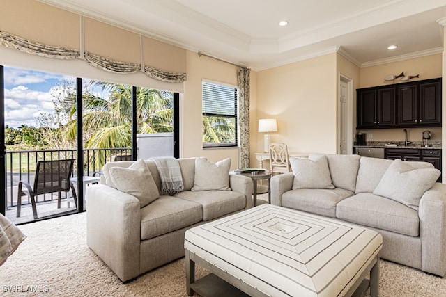 carpeted living room with a raised ceiling, sink, and ornamental molding