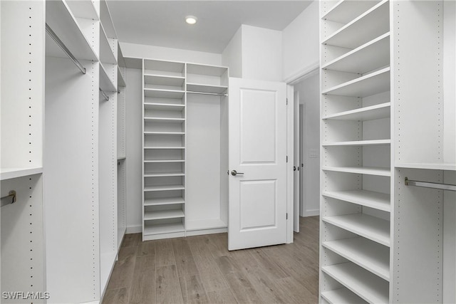 walk in closet with light wood-type flooring