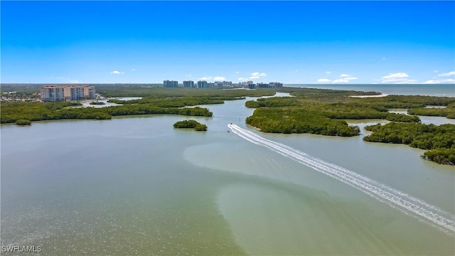 1001 Arbor Lake Dr Unit 1406, Naples, FL 34110 - bird's eye view of a large body of water