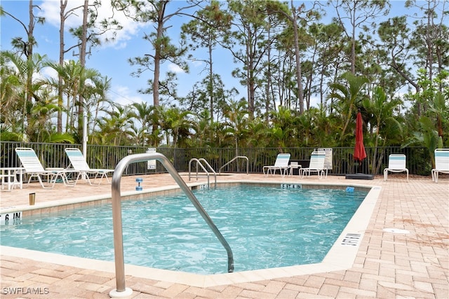 view of pool with a patio area