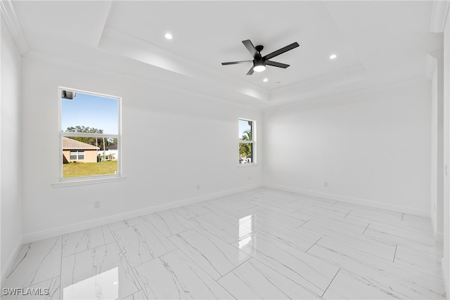 spare room with a raised ceiling, crown molding, and a wealth of natural light