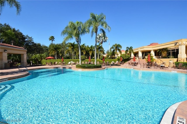 view of swimming pool featuring a patio