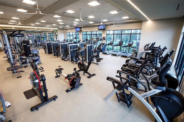 exercise room with a paneled ceiling and carpet floors