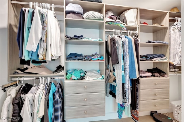 view of spacious closet