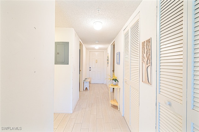 hallway with electric panel, light hardwood / wood-style flooring, and a textured ceiling