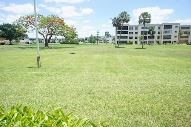 view of property's community with a yard