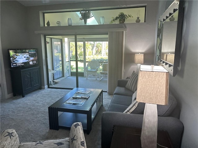 living room with carpet floors