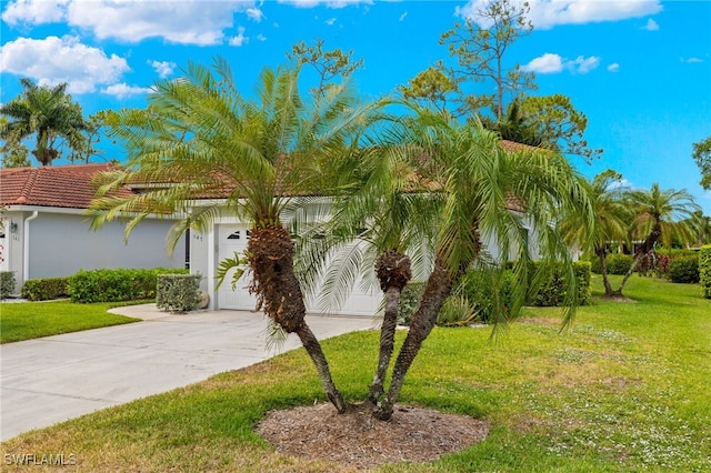 view of front facade featuring a front yard