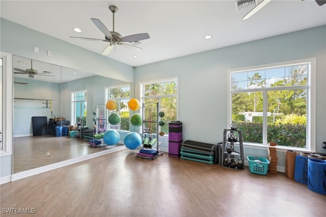 exercise room featuring hardwood / wood-style flooring