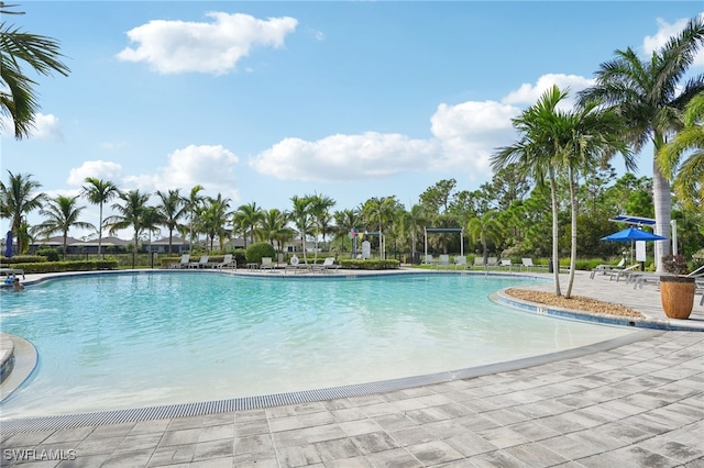 view of swimming pool featuring a patio