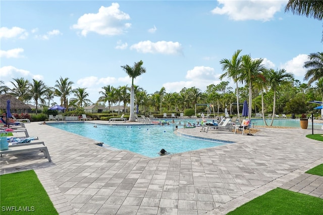 view of swimming pool with a patio