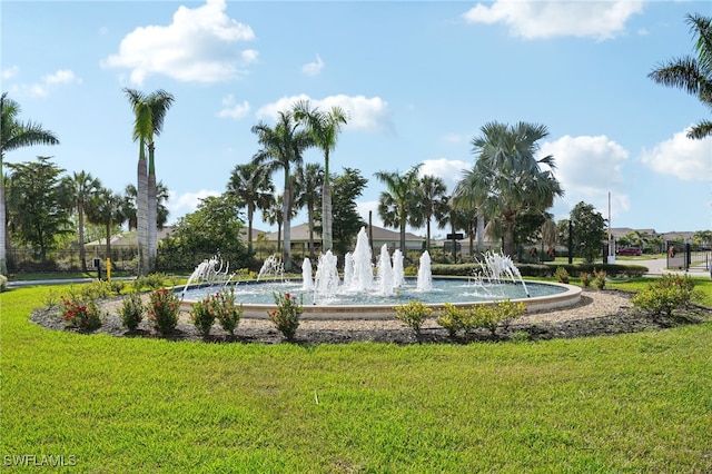 view of community with a yard