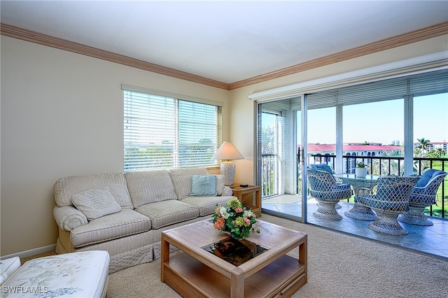 living room featuring carpet flooring and crown molding