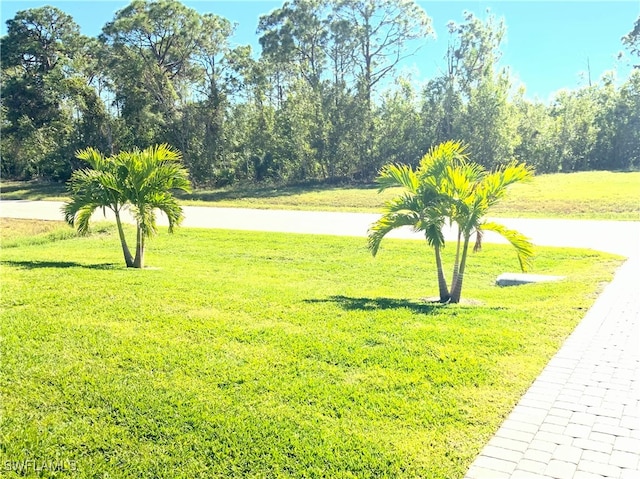 view of home's community with a lawn