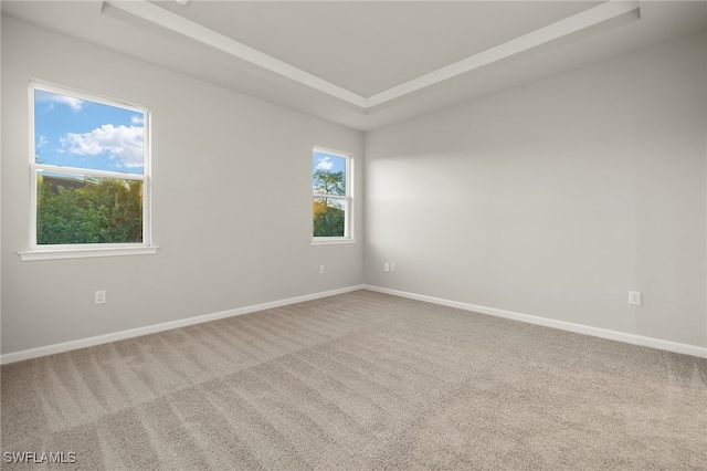 carpeted spare room with a tray ceiling