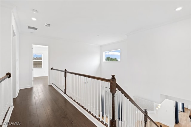 corridor with dark hardwood / wood-style flooring, a wealth of natural light, and ornamental molding