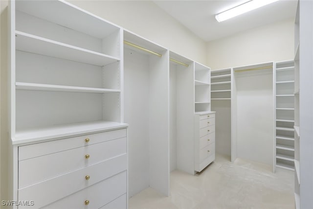 view of spacious closet