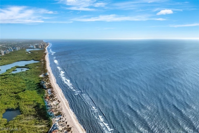 7817 Vizcaya Way, Naples, FL 34108 - aerial view of expansive beach