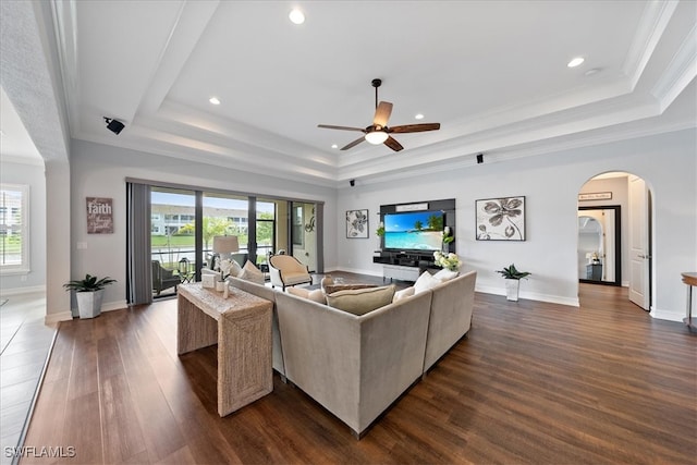 living room featuring dark wood-type flooring, a raised ceiling, and a wealth of natural light