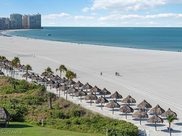 view of water feature with a beach view