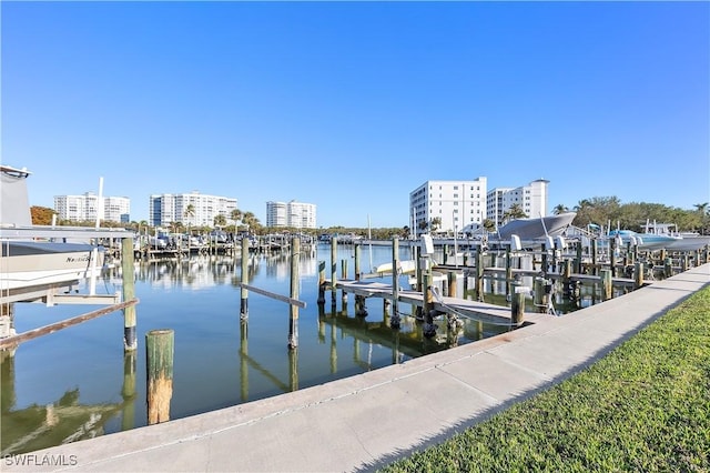 dock area with a water view