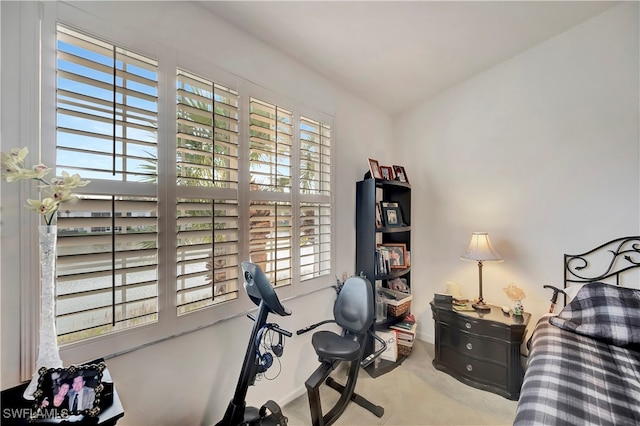 bedroom with light colored carpet