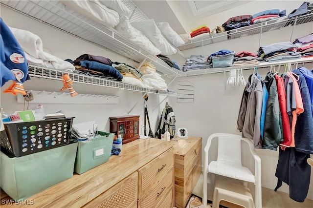 spacious closet with carpet