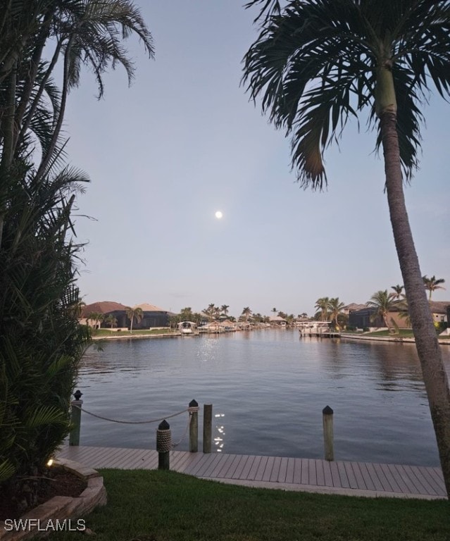 dock area with a water view