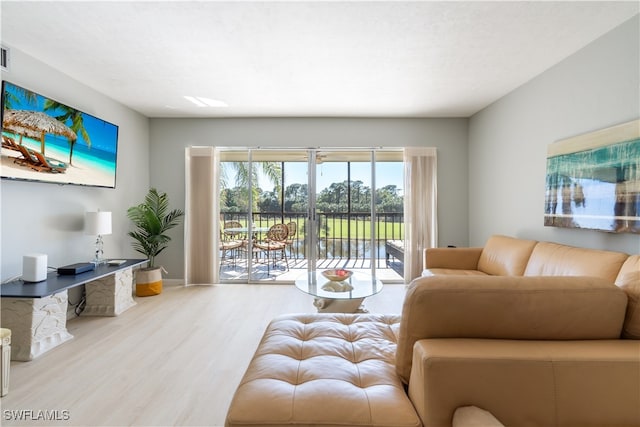 living room with light hardwood / wood-style floors