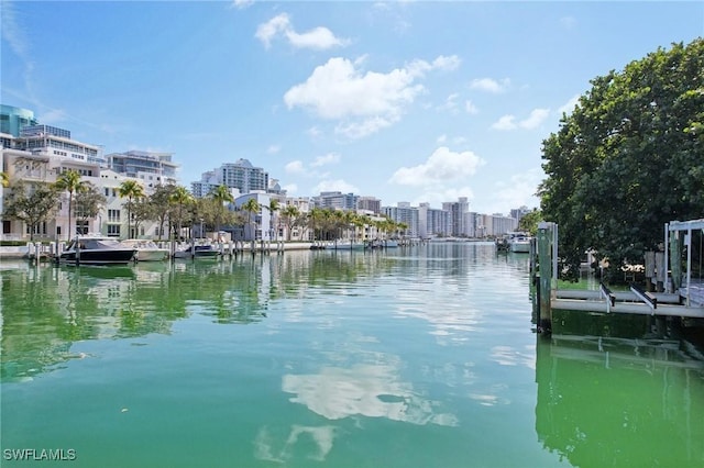 property view of water featuring a view of city and a boat dock