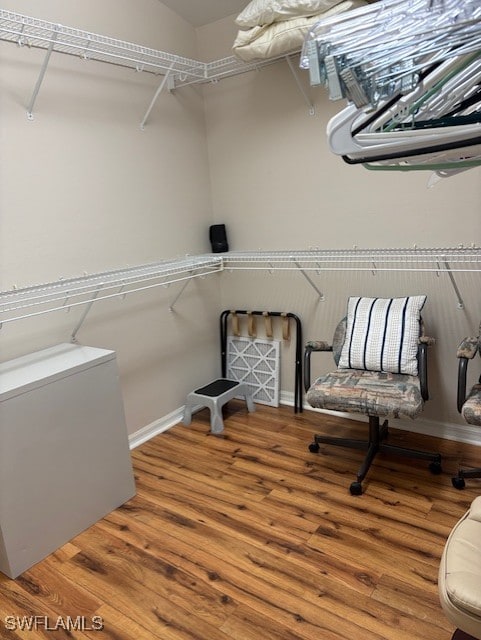 13358 Queen Palm Run, North Fort Myers, FL 33903 - spacious closet featuring wood finished floors