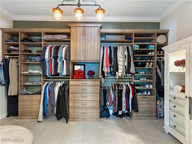 view of closet