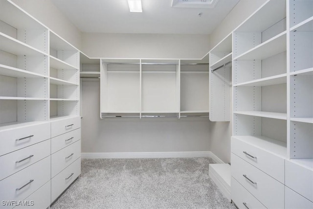 walk in closet with light carpet