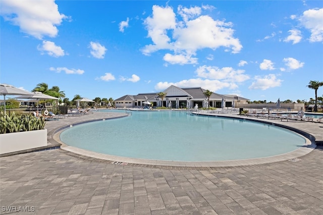 view of pool featuring a patio