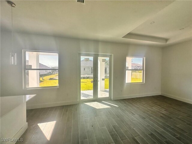 spare room featuring plenty of natural light and dark wood-type flooring