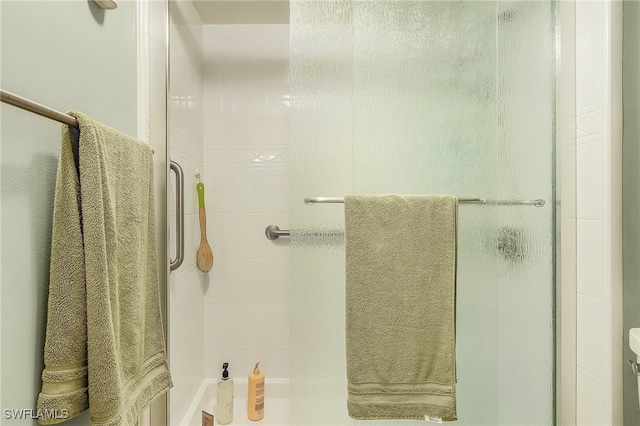 bathroom featuring a shower with shower door